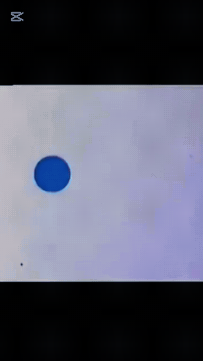Mtv Owl GIF