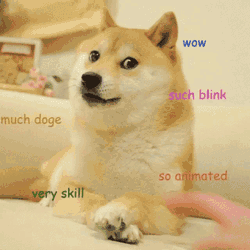 Much Wow GIF