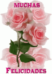 Muchas Felicidades Sparkling Pink Roses Greetings GIF