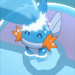Mudkip Enjoying The Water GIF