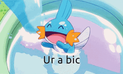 Mudkip Jumping In The Pool GIF