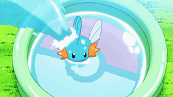 Mudkip Swimming In The Pool GIF