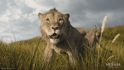Mufasa Movie Poster Lion In Field GIF