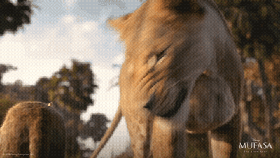 Mufasa The Lion King Poster Lion And Cub GIF