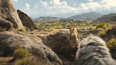 Mufasa The Lion King Poster Lion And Lioness GIF