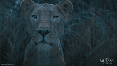 Mufasa The Lion King Poster With Lioness GIF