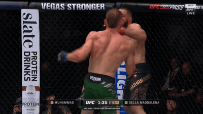 Muhammad And Della Maddalena Fight In Cage GIF