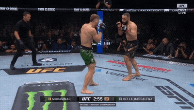 Muhammad And Della Maddalena Fighting In UFC Ring GIF