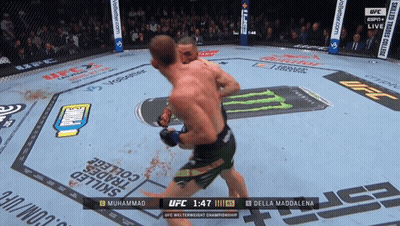 Muhammad And Della Maddalena Fighting In UFC GIF