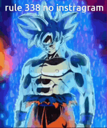 Mui Goku  Dragon Ball Rule 338 No Instagram GIF