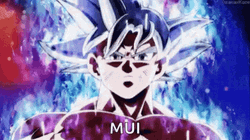 Mui Goku Power Up Fighting GIF
