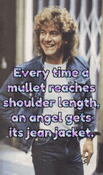 Mullet Haired Robert Plant GIF