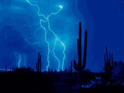 Multiple Thunderstorm Behind Cactus GIF