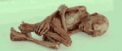 Mummified Lord Voldemort Sleeping GIF