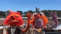 Muppet Animal Concert Headbang GIF