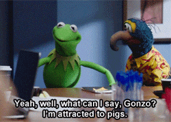 Muppet Characters Gonzo And Kermit