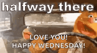 Muppet Driving Car Halfway There Love You Happy Wednesday GIF