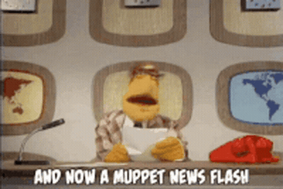 Muppet News Anchor And Now Muppet News Flash GIF