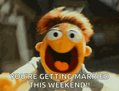 Muppet Says You're Getting Married This Weekend GIF