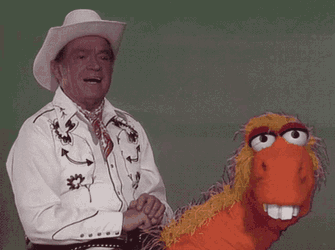 Muppet Show Muppets GIF