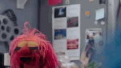 Muppets Animal Hey Guys GIF