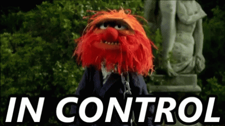 Muppets Animal In Control GIF