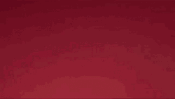 Muppets Animal Surprised GIF