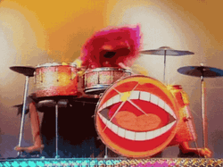 Muppets Animal The Mad Drummer GIF