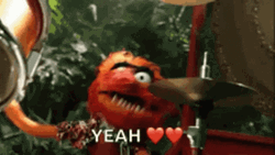 Muppets Animal Yeah GIF