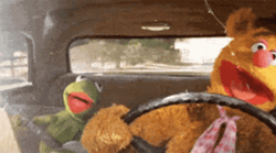 Muppets Driving And Singing GIF