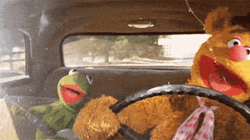 Muppets Fozzie Bear And Kermit Joy Ride  GIF