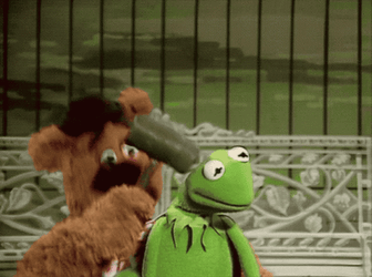 Muppets Fozzie Striking Kermit GIF