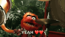 Muppets Frantic Animal Paying Drums  GIF