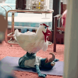 Muppets Gonzo Working Out With Chicken GIF