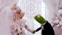 Muppets Kermit And Miss Piggy Wedding GIF