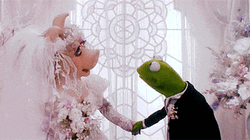 Muppets Miss Piggy And Kermit The Frog Marriage GIF