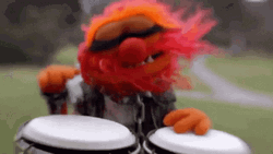 Muppets The Animal Playing Drums GIF