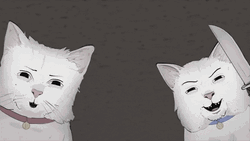 Murder Killer White Kitties GIF