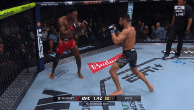 Murphy Fighting Pico In UFC Fight GIF