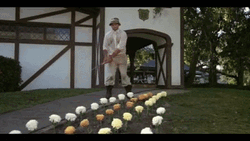 Murray Hitting Flowers With Golf Clubs In Caddyshack GIF