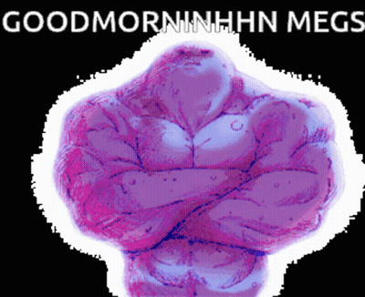 Muscle Man Good Morning Hin Megs GIF