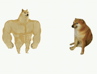 Muscular Dog Standing Next to Another Dog