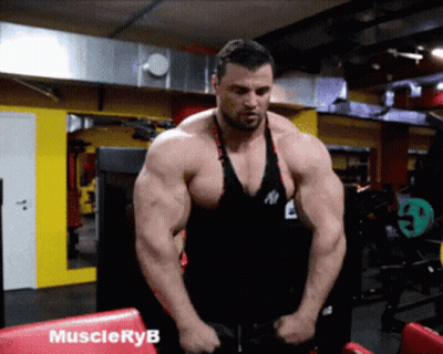 Muscular Man In Gym With Muscleryb GIF