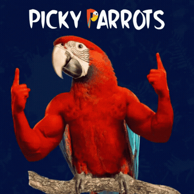 Muscular Parrot Picky Parrots GIF