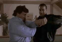 Muscular Steven Seagal Breaking Bones GIF