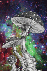 Mushroom Colorful Galaxy Background