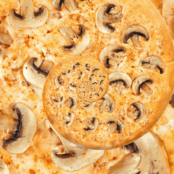 Mushroom Pizza Party Loop GIF