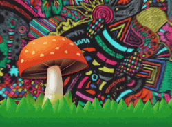 Mushroom Trippy Colorful Design GIF