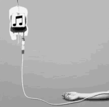 Music Is Blood GIF