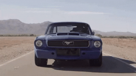 Mustang Ford Different Kinds GIF